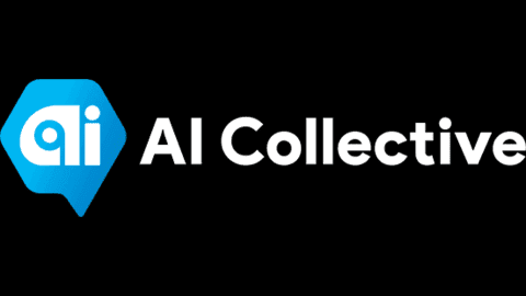 AI Collective Bundle